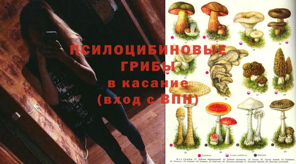 дмт Дрезна